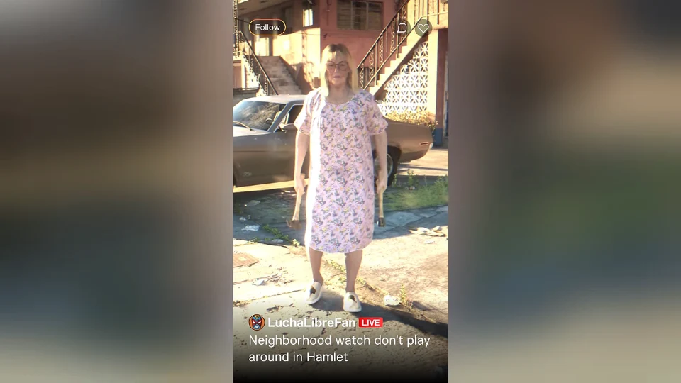 Uncoded (trailer1_016) — Hammer Old Lady